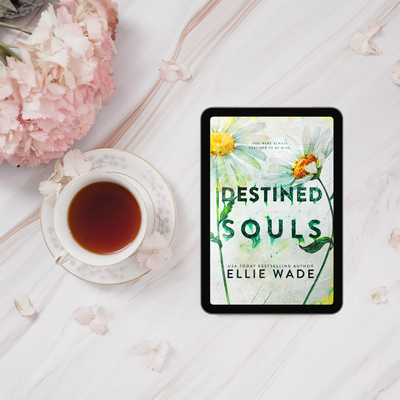 Destined Souls eBook