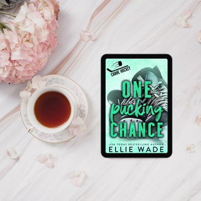 One Pucking Chance eBook